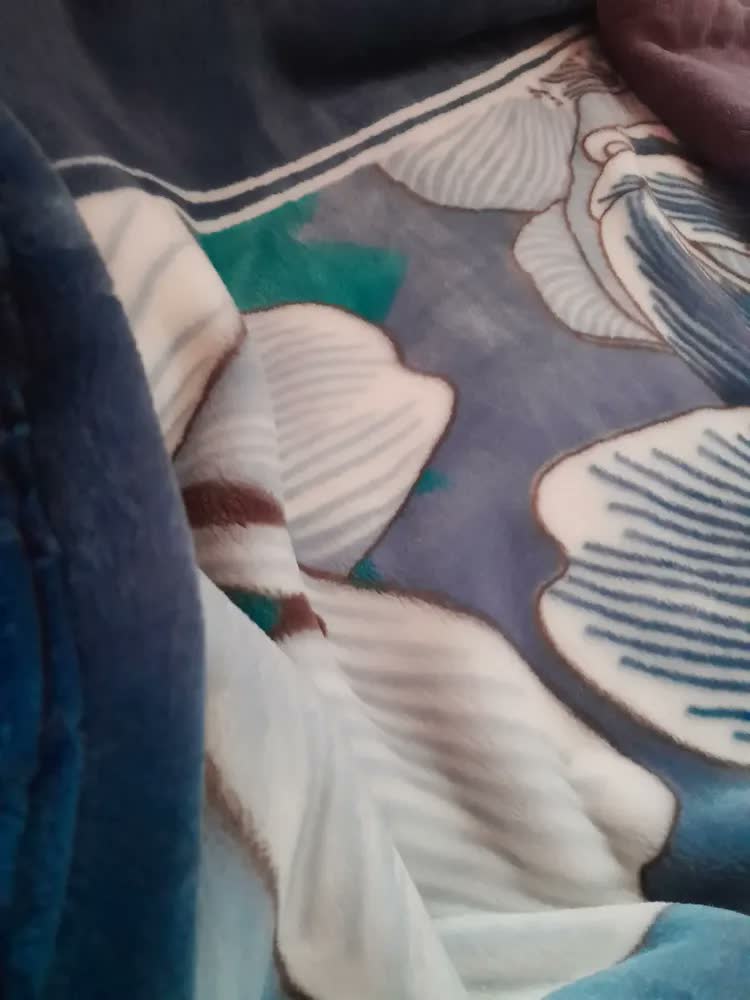 foto de Cobertor Casal Jolitex Raschel Plus Charleston Azul-escuro Florido