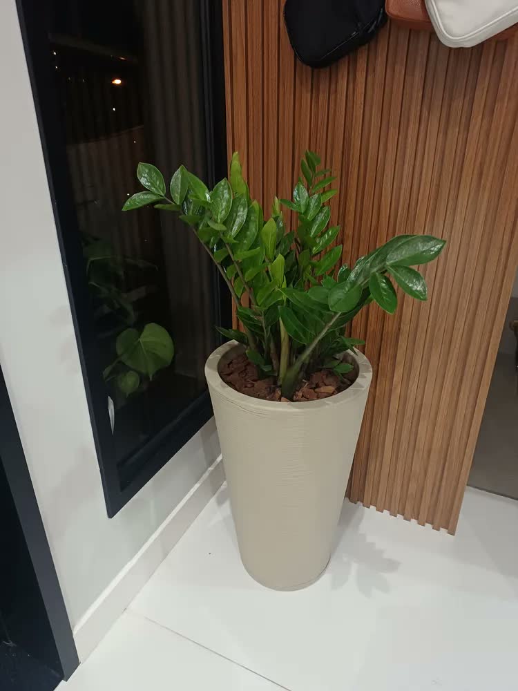 foto de Vaso Para Plantas C/ Prato 60cm Jardim Sala Escritório Decor