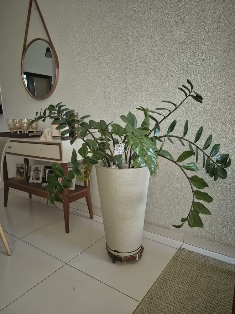 foto de Vaso Para Plantas C/ Prato 60cm Jardim Sala Escritório Decor
