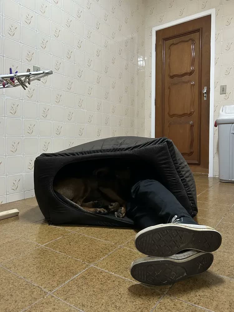 foto de Toca Para Cachorro Grande Gigante 2x1 - 90x90x50 Cm Lavável