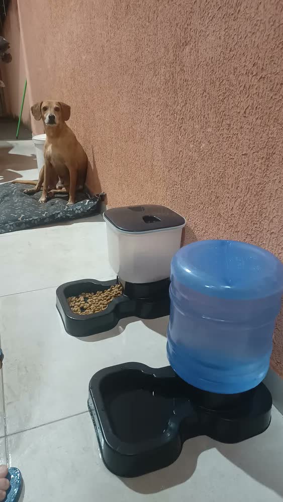 foto de Comedouro E Bebedouro Automático Pra Cachorros Grande Porte