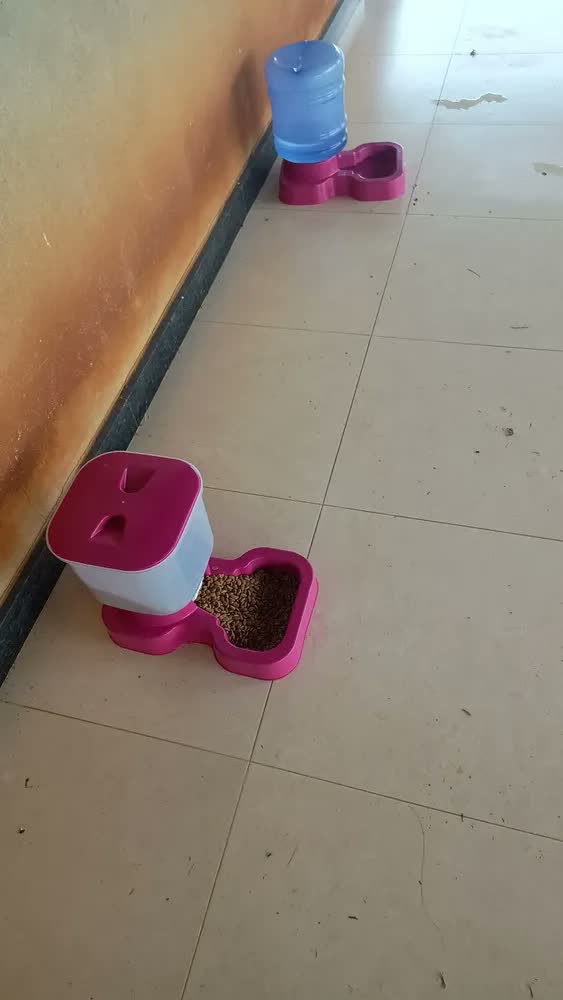 foto de Comedouro E Bebedouro Automático Pra Cachorros Grande Porte