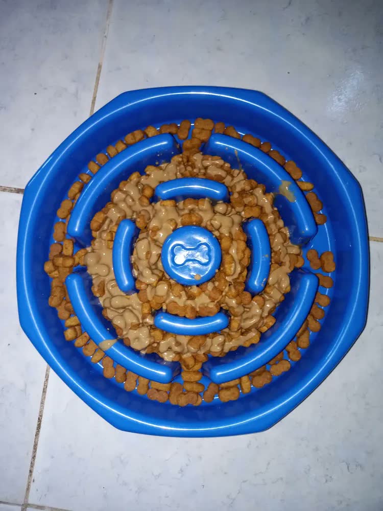 foto de Comedouro Interativo Lento Petliz Azul Para Cães Médios e Grandes