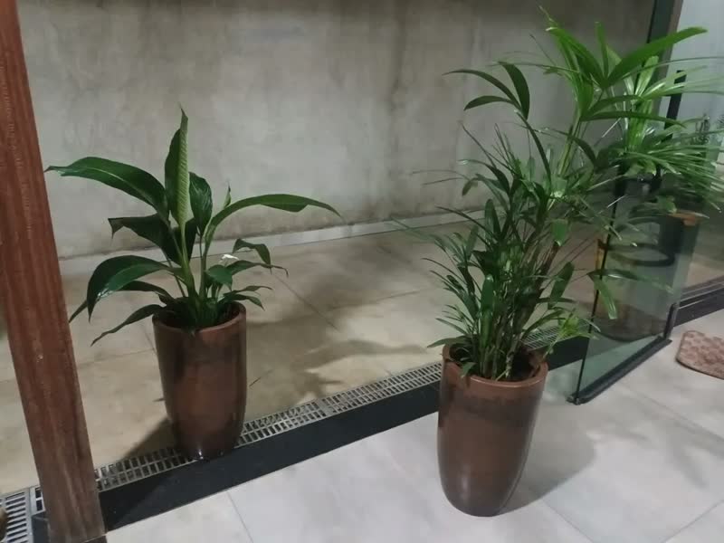 foto de Vaso Grande Liso Polietileno P/plantas Luxo Jardim Varanda