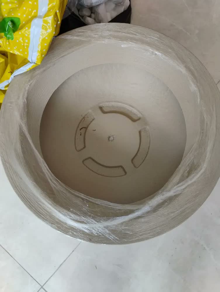 foto de Vaso De Planta Bacia Polietileno Rosa Do Deserto Suculentas
