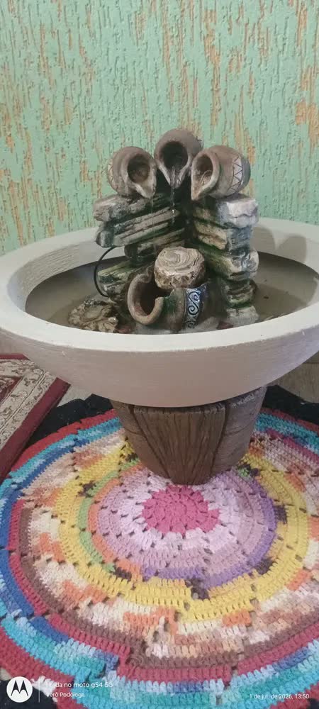 foto de Vaso De Planta Bacia Polietileno Rosa Do Deserto Suculentas