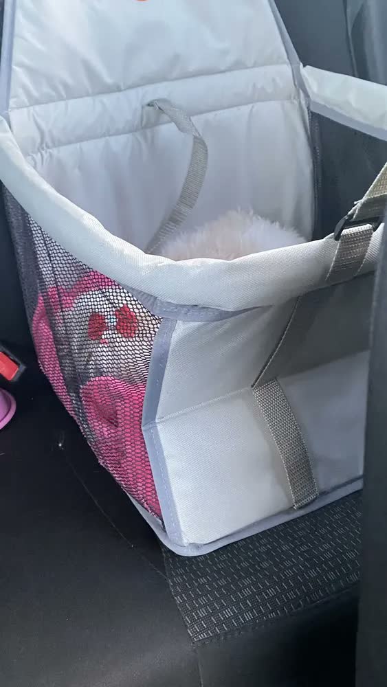 foto de Bolsa De Transporte Pet - Tam. M - Passeios - Viagens Cor Rosa