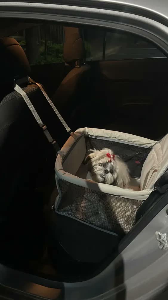 foto de Bolsa De Transporte Pet - Tam. M - Passeios - Viagens Cor Rosa