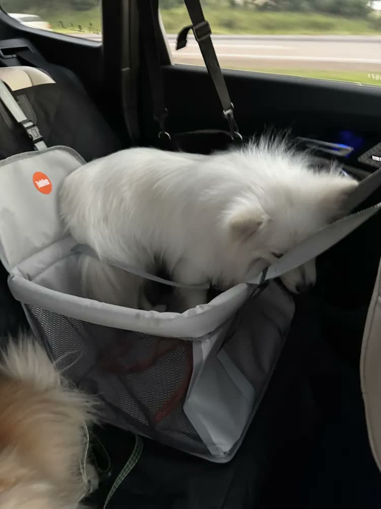 foto de Bolsa De Transporte Pet - Tam. M - Passeios - Viagens Cor Rosa