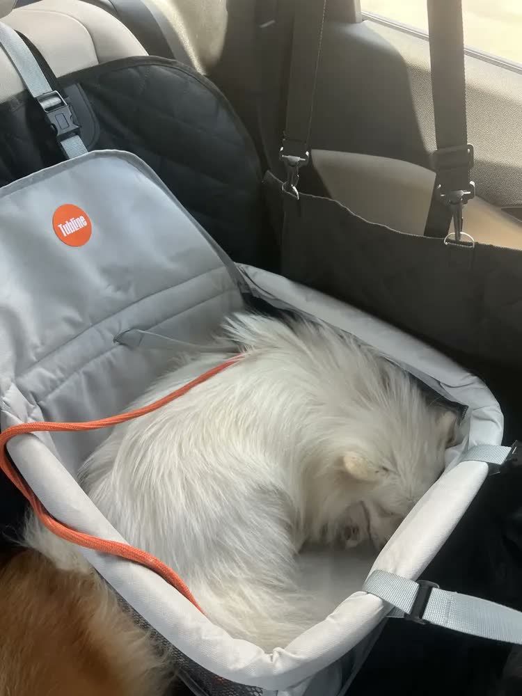 foto de Bolsa De Transporte Pet - Tam. M - Passeios - Viagens Cor Rosa