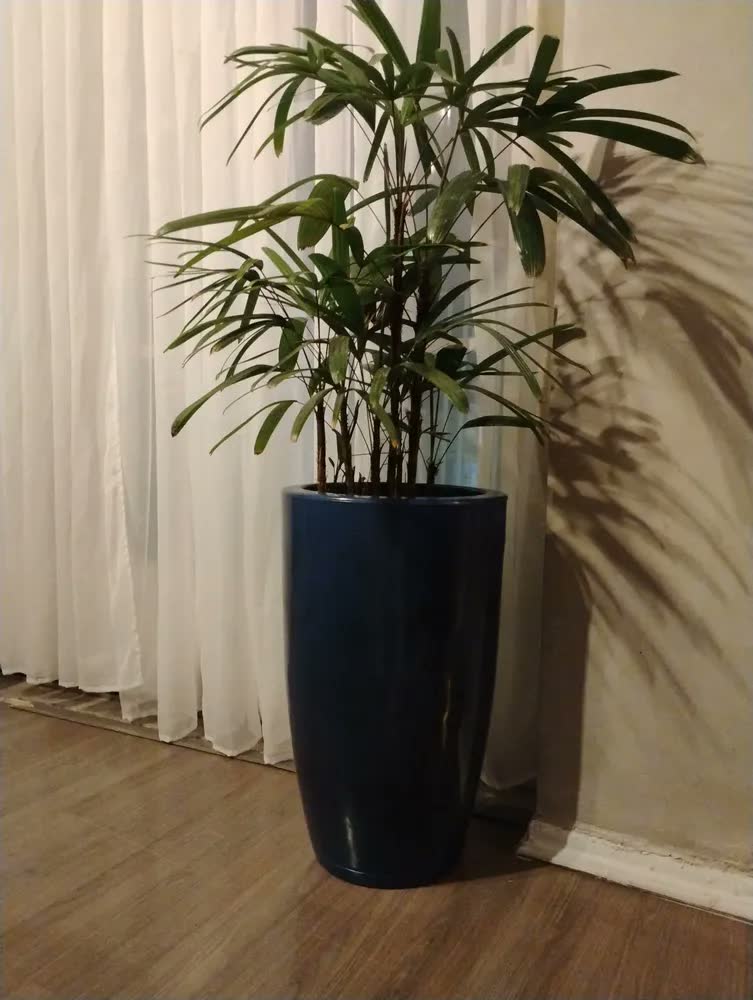 foto de Vaso Plantas Decorativo Polietileno Grande Luxo Flores Sala