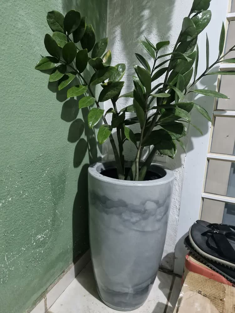 foto de Vaso Plantas Decorativo Polietileno Grande Luxo Flores Sala