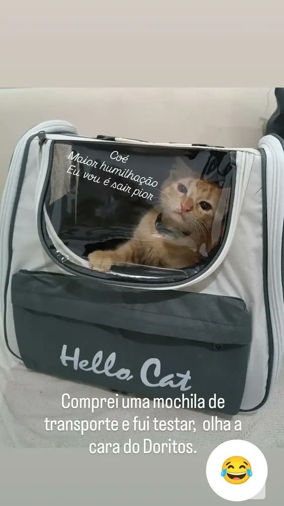 foto de Bolsa Mochila Transporte Gato Pet Animais Estimaçao Passeio