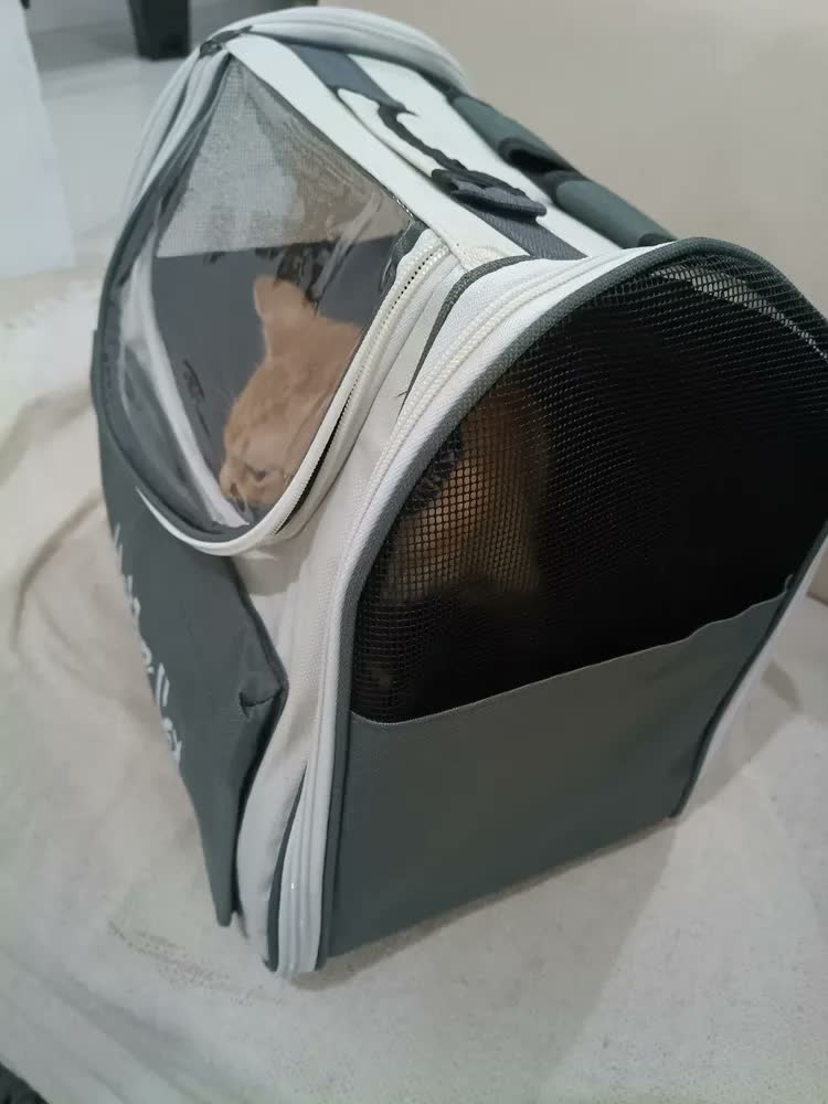 foto de Bolsa Mochila Transporte Gato Pet Animais Estimaçao Passeio