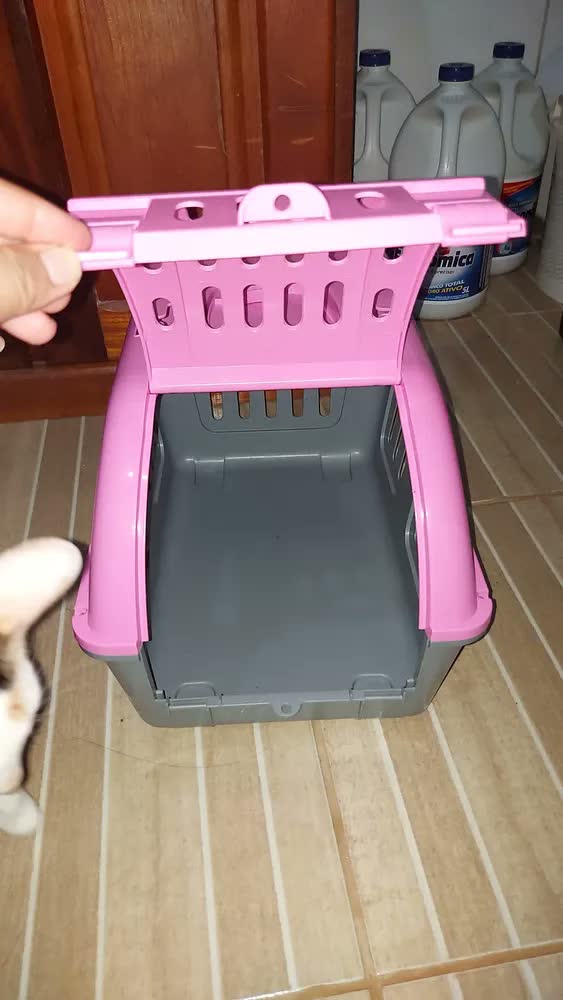 foto de Caixa De Transporte Four Plastic Para Cães E Gatos Color Cor Rosa