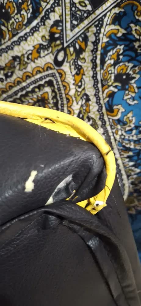 foto de Cadeira Gamer Ergonômica Reclinável Giratória Confortável