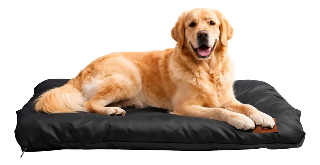 Cama Pet Impermeável Colchonete Premium 60x90 Melhor Preço