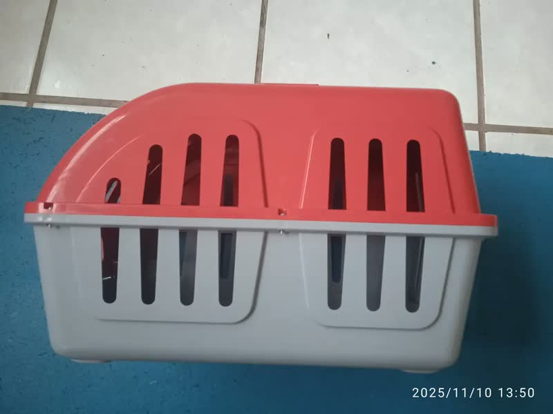 foto de Caixa De Transporte Para Cães E Gatos Color Four Plastic Cor Vermelho