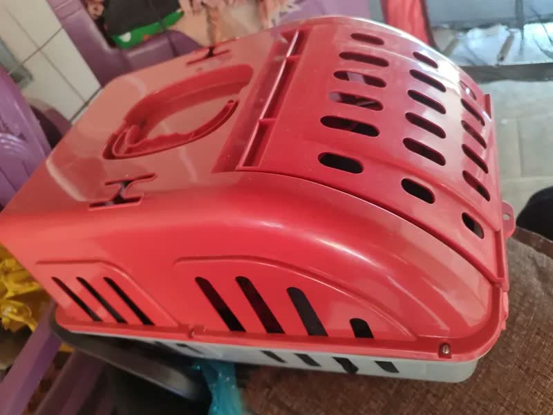 foto de Caixa De Transporte Para Cães E Gatos Color Four Plastic Cor Vermelho