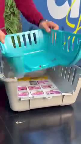 vídeo do produto