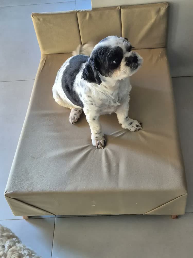 foto de Cama Pet Box 80cm Rosa Barbie Frete Grátis
