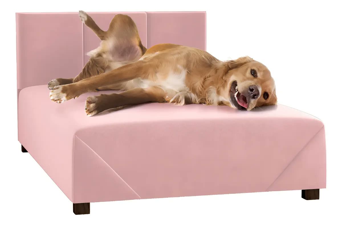 Cama Pet Box 80cm Rosa Barbie Frete Grátis