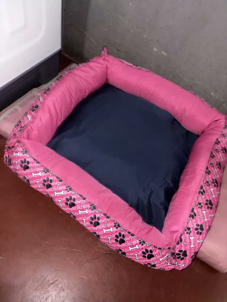 foto de Cama Pet Impermeável Rosa/azul Pequena 45x45cm Cães E Gatos