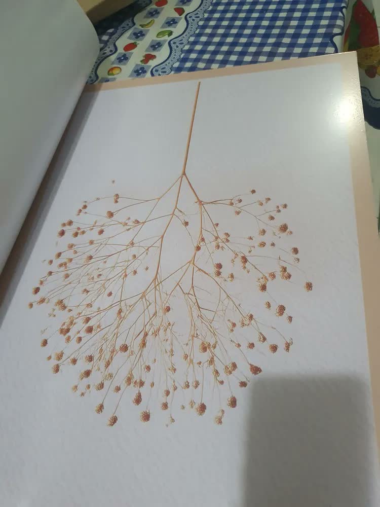 foto de Quadros Decorativos Abstratos Geométricos Boho Neutro 122x60