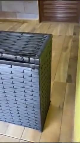 vídeo do produto