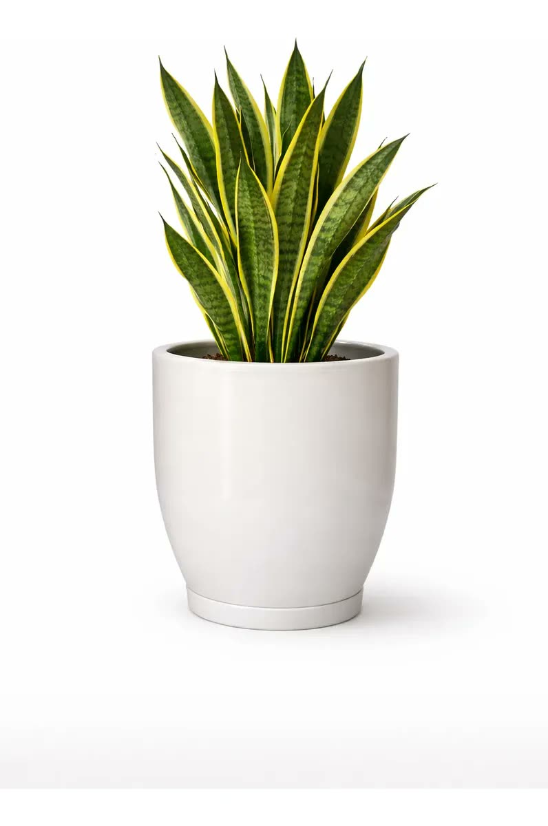 Vaso Redondo Polietileno Planta Cone Bojo Marmorizado Jardim