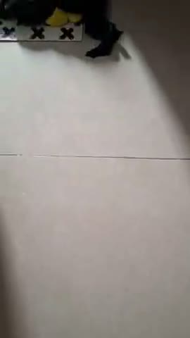 vídeo do produto