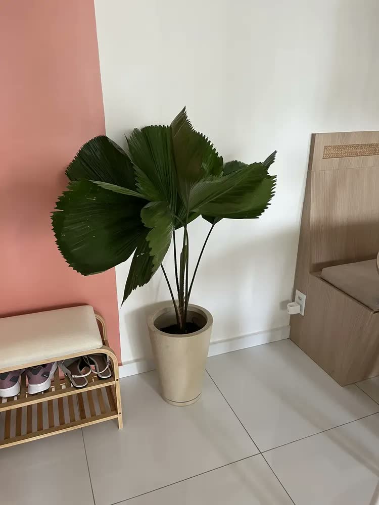 foto de Sapateira Bambu Banco Estofado 70cm 2 Andares, Heimon
