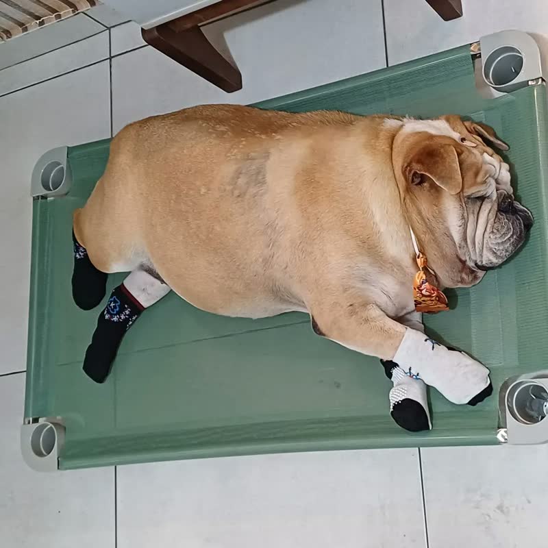 foto de Cama Suspensa Pet Grande Acrimet 101x61 Rosa Impermeável Lavável