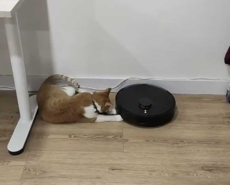 foto de Robô Aspirador Xiaomi S20 Plus Bivolt Passa Pano Limpa Casa Vacuum S20 Preto