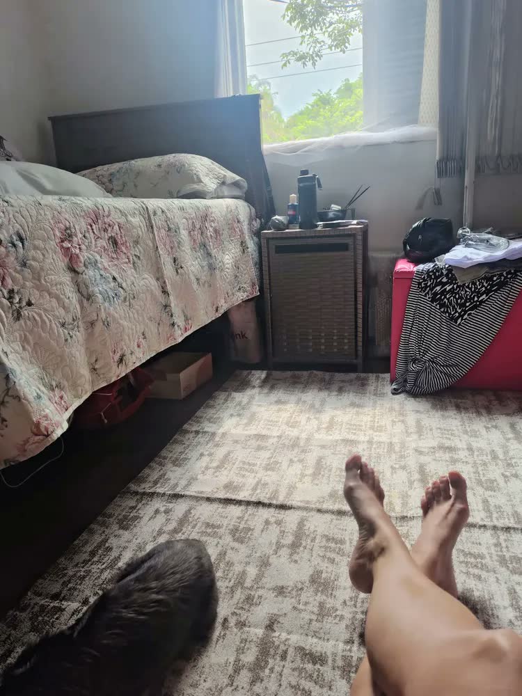 foto de Cesto Basculante Roupa Suja Alça Fibra Sintética Gaveta