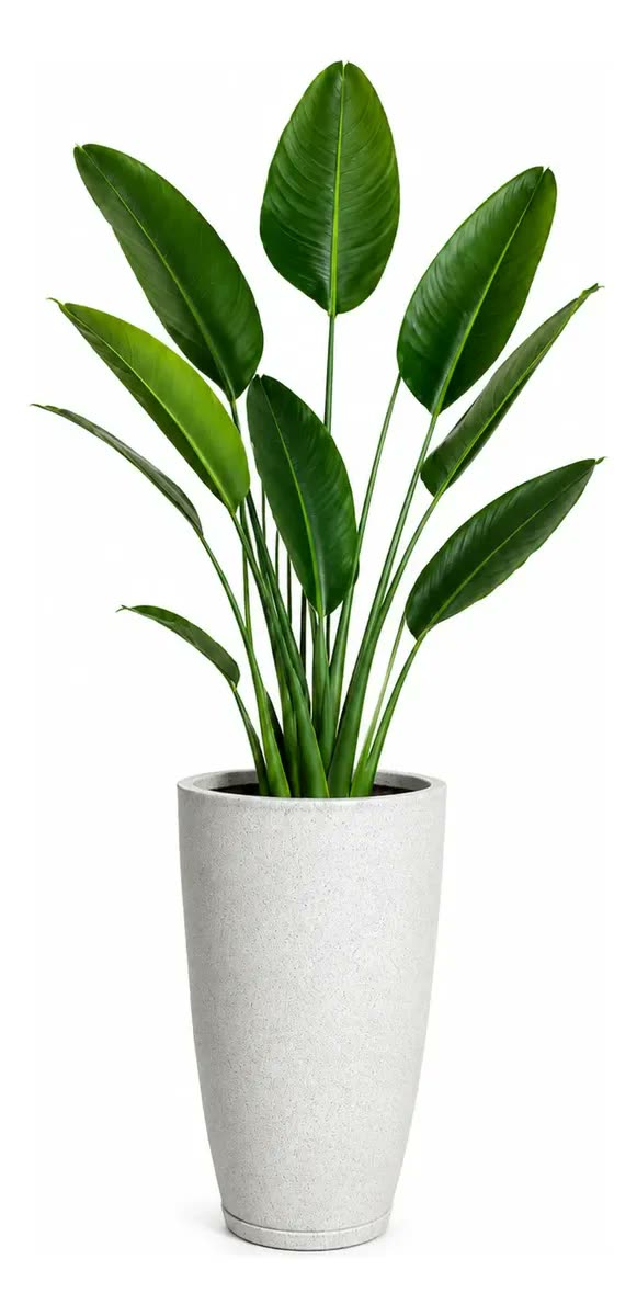 Vaso Grande Polietileno Planta Liso Decorativo Jardim Varand