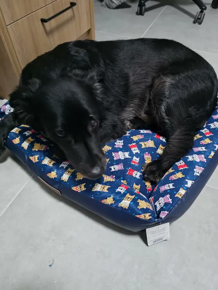 foto de Cama Pet Caminha Para Cães Gato Quadrada Impermeável Lavável