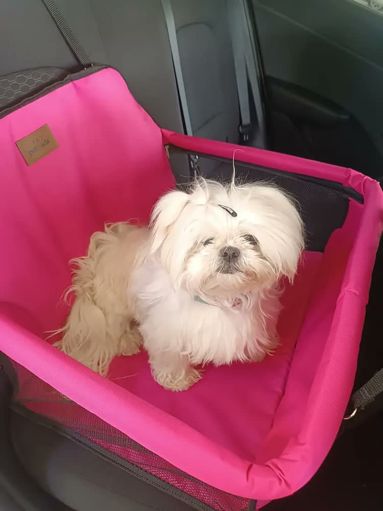 foto de Bolsa Transporte Carro Para Dois Pets Cães Dupla Grande Preto