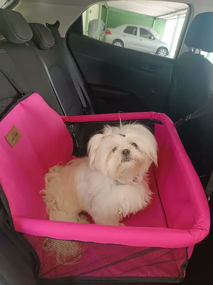 foto de Bolsa Transporte Carro Para Dois Pets Cães Dupla Grande Preto
