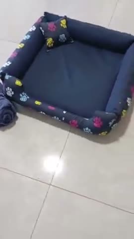 vídeo do produto