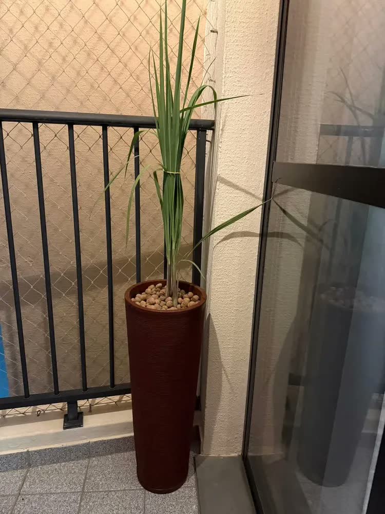 foto de Vaso Planta Grande Alto 71cm Coluna Ibiza Luxo Sala Jardim