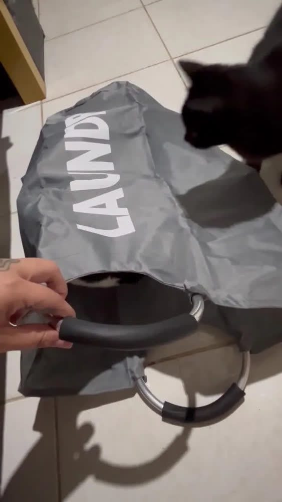 foto de Cesto de Roupa Dobrável 63L Cinza Holtter com Alça Resistente