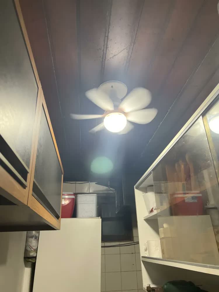 foto de Lâmpada Ventilador de Teto E27 6 Hélices Controle Remoto Luz Branca LED Silencioso Econômica Camperluz