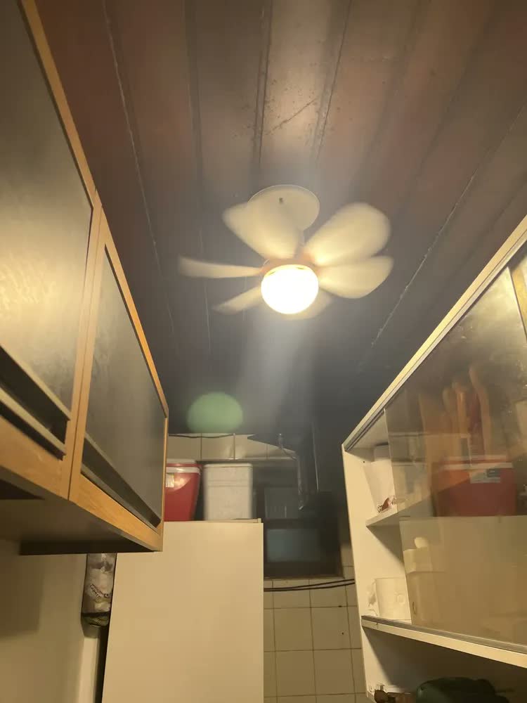 foto de Lâmpada Ventilador de Teto E27 6 Hélices Controle Remoto Luz Branca LED Silencioso Econômica Camperluz