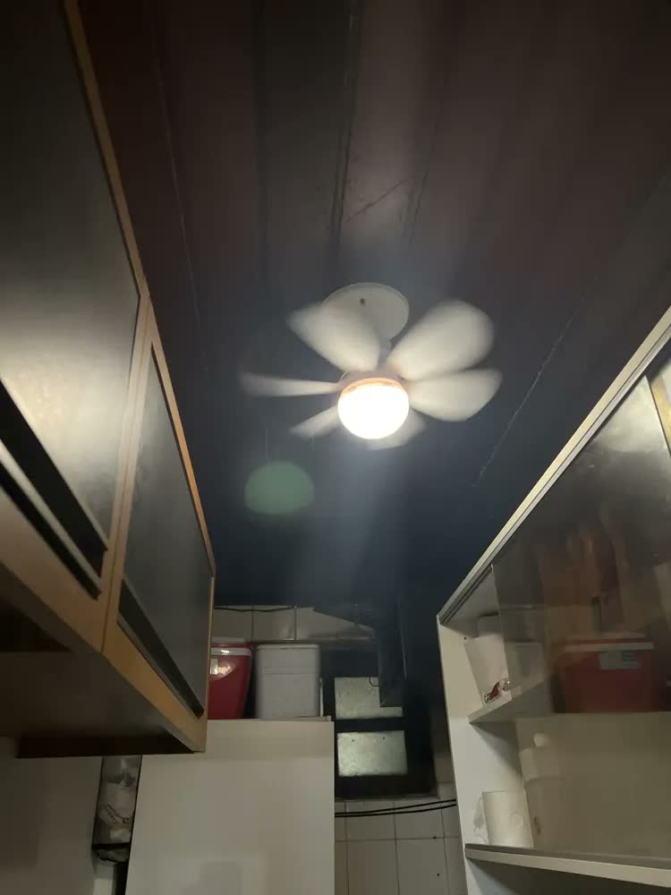 foto de Lâmpada Ventilador de Teto E27 6 Hélices Controle Remoto Luz Branca LED Silencioso Econômica Camperluz