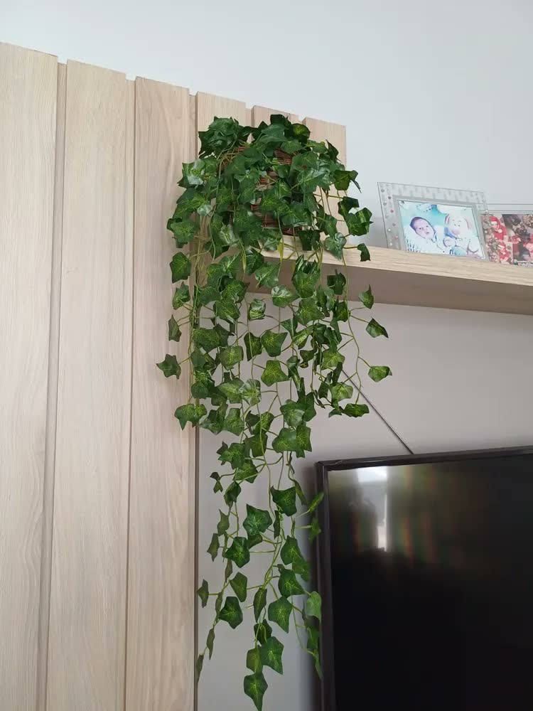 foto de Hera Pendente Verde com Vaso Incluído Bella Nil Seda 90cm Fixada com Argila e Musgo