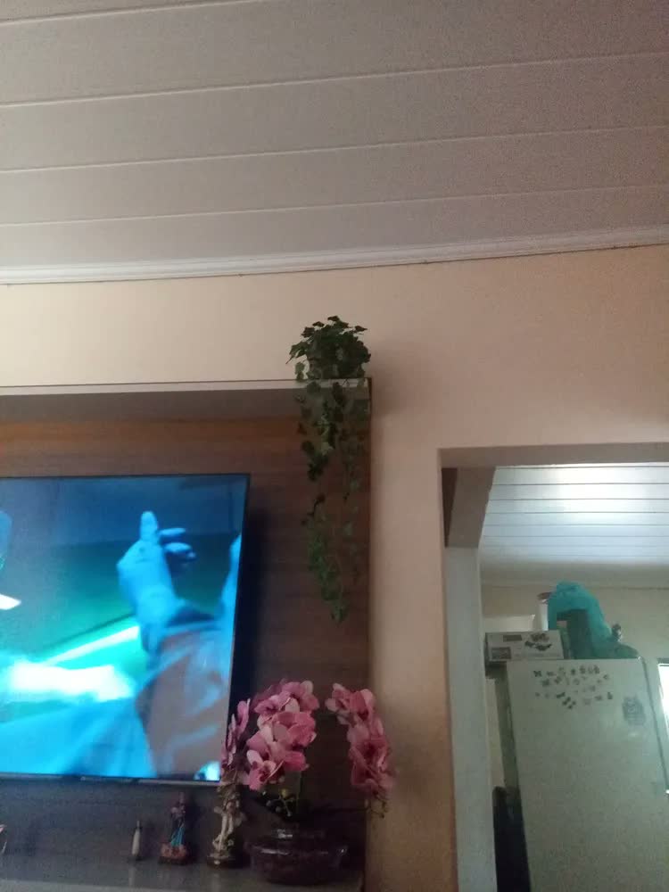 foto de Hera Pendente Verde com Vaso Incluído Bella Nil Seda 90cm Fixada com Argila e Musgo