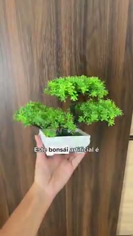 vídeo do produto