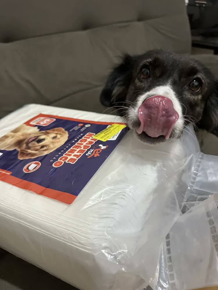 foto de Tapete Higiênico Pet 50 Unidades 60x60 Descartável Cão Gato