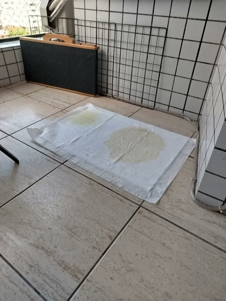 foto de Tapete Higienico Uai Pet 80x60 Aroma Bebe 30 Unidades Tapetinho Cães Cachorros